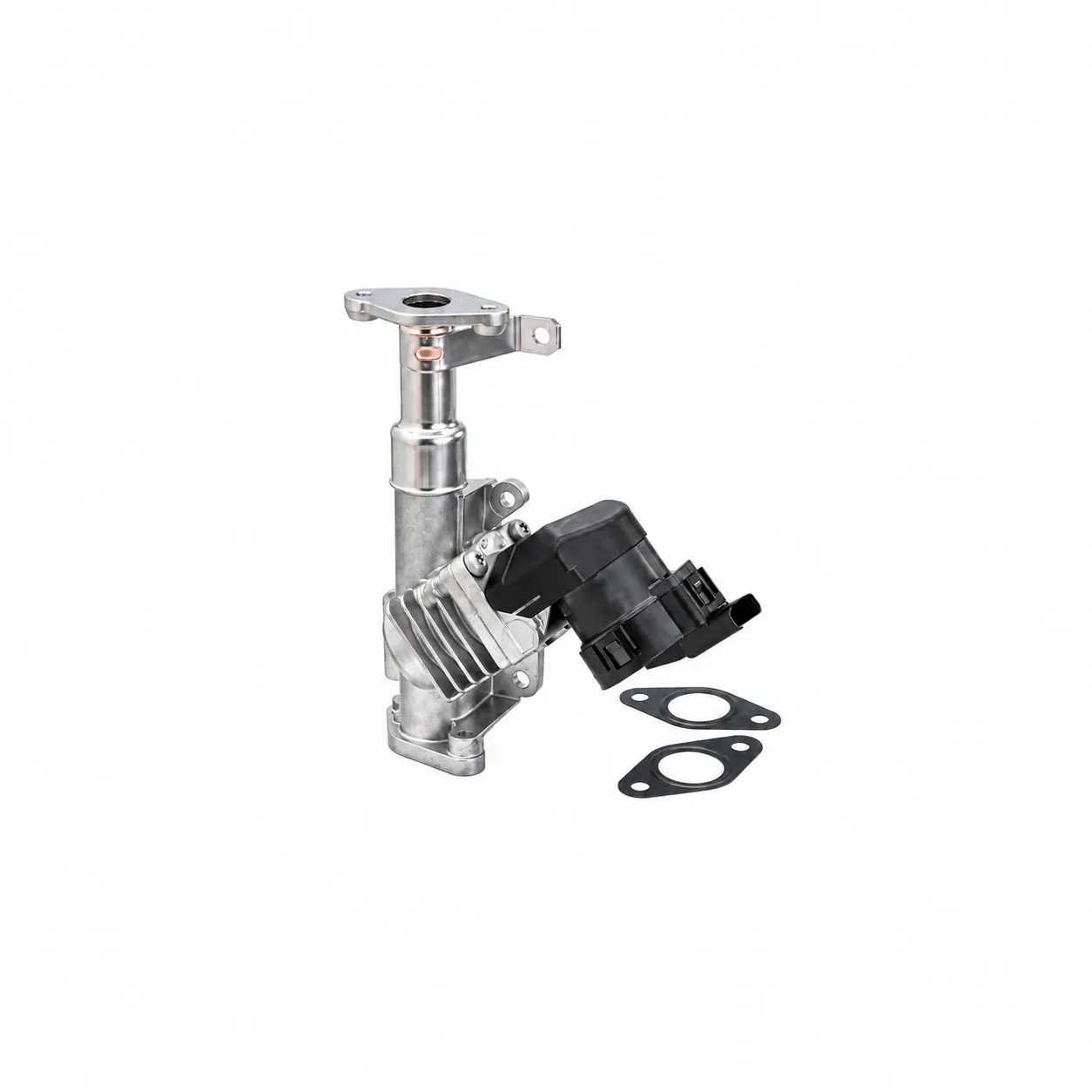 BMW N43 EGR Valfi